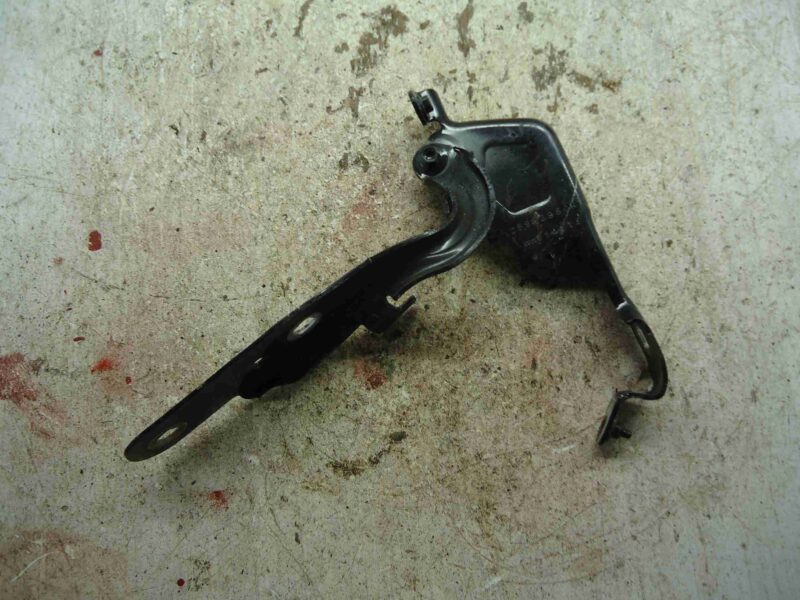 Изображение товара 100000 - 00100000 petlya kapota pravaya