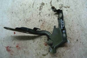 Изображение товара 100000 - 00100000 petlya kapota pravaya 2