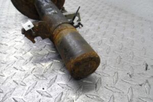 Изображение товара 102431 - 001002431 amortizator perednij levyj 2