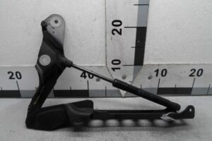 Изображение товара 100341 - 00100341 petlya kapota pravaya 