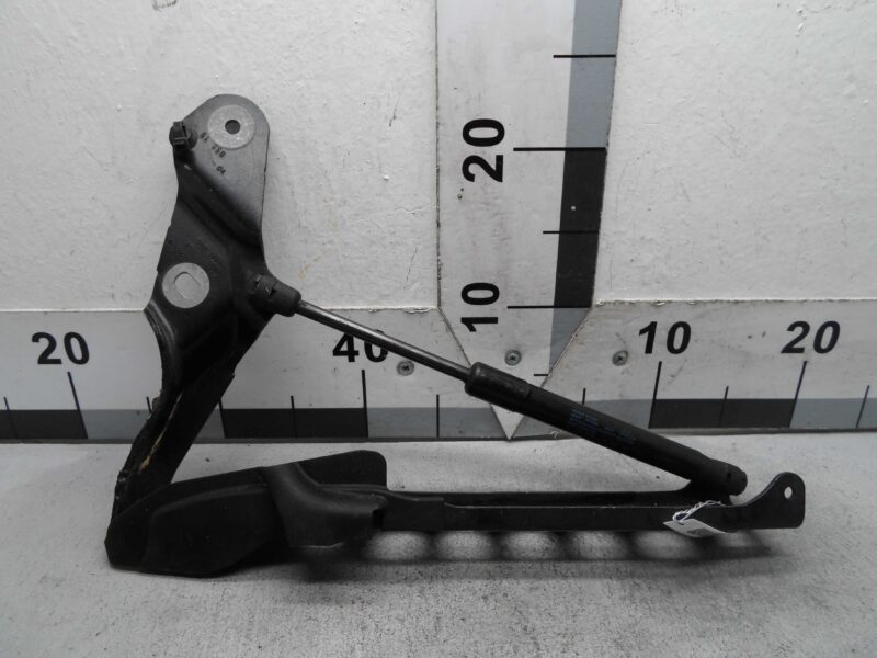 Изображение товара 100341 - 00100341 petlya kapota pravaya