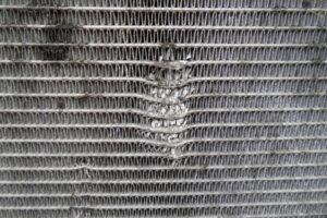 Изображение товара 100485 - 00100485 kasseta radiatorov 1