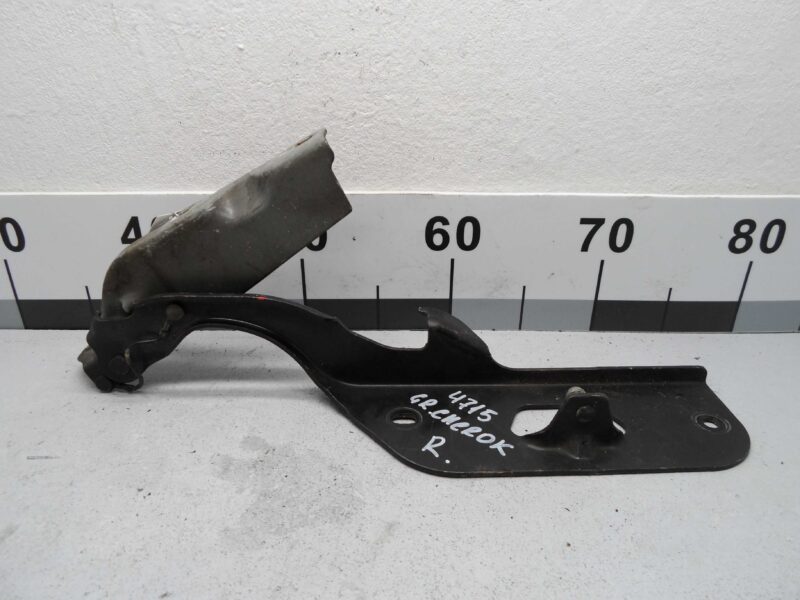 Изображение товара 100900 - 00100900 petlya kapota pravaya