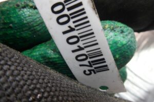 Изображение товара 101075 - 00101075 patrubok 1