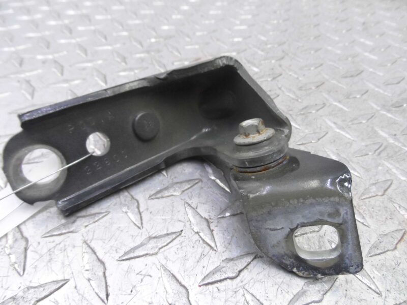 Изображение товара 107160 - 00101160 petlya dveri perednyaya