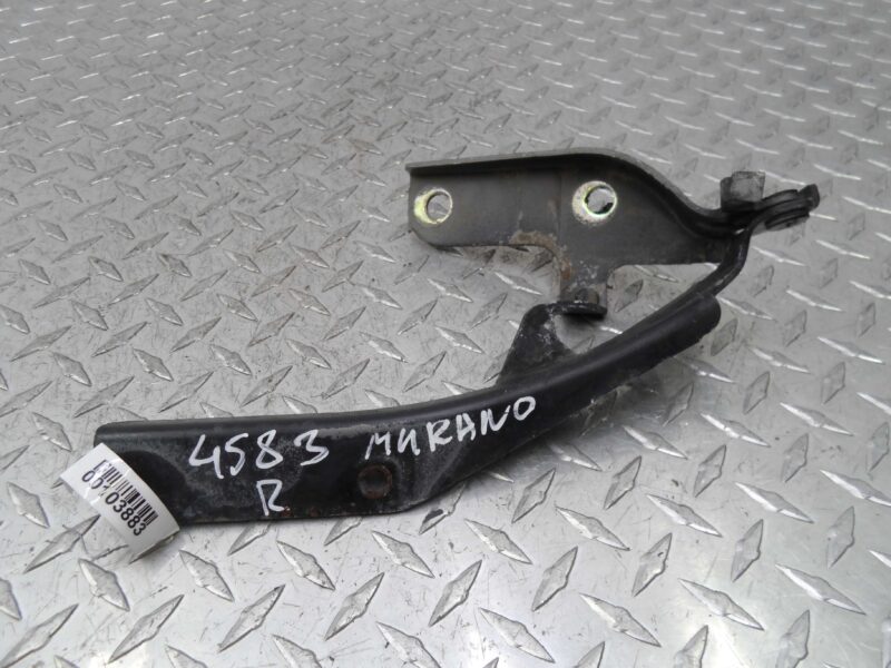 Изображение товара 103883 - 00103883 petlya kapota pravaya