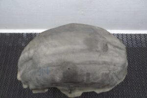 Изображение товара 107061 - 00107061 podkrylok zadnij levyj 2