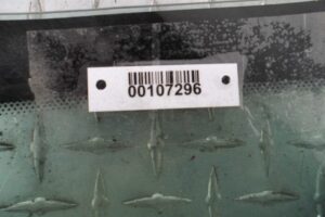 Изображение товара 107296 - 00107296 steklo kuzovnoe pravoe Dodge Nitro 1