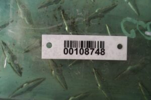 Изображение товара 108748 - 00108748 steklo dveri zadnej pravoj Subaru Tribeca 1