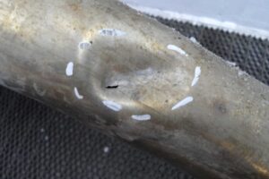 Изображение товара 108969 - 00108969 glushitel Ford Expedition 3