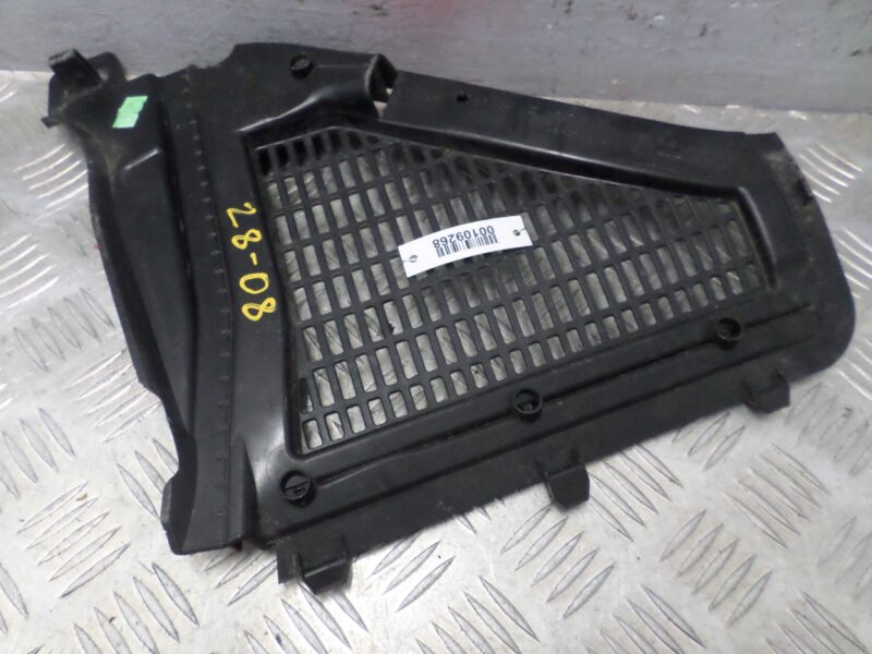 Изображение товара 109268 - 00109268 dozhdevik