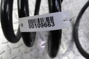 Изображение товара 109663 - 00109663 pruzhina perednyaya 2