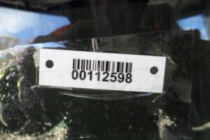 Изображение товара 112598 - 00112598 steklo kuzovnoe pravoe Kia Optima 1