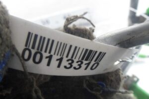 Изображение товара 113310 - 00113310 toplivnaya rampa Lexus LS 1