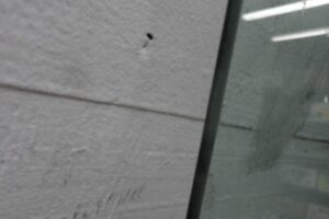 Изображение товара 115802 - 00115802 steklo dveri perednej pravoj 1