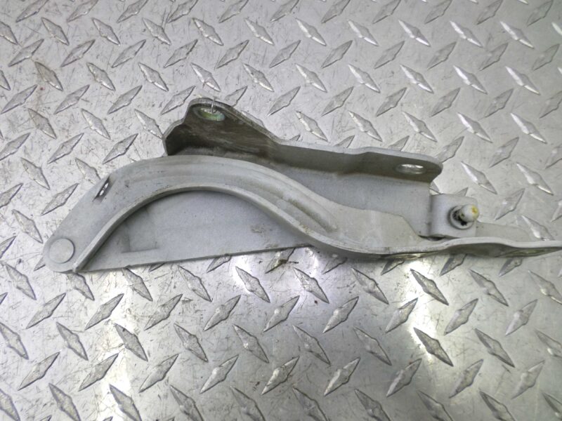 Изображение товара 115808 - 00115808 petlya kapota pravaya