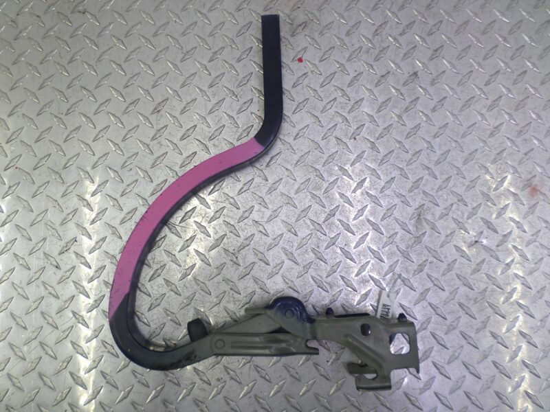 Изображение товара 119641 - 00119641 petlya kryshki bagazhnika