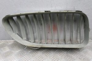 Изображение товара 121205 - 00121205 reshetka radiatora 1