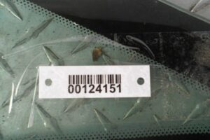 Изображение товара 124151 - 00124151 steklo kuzovnoe pravoe Dodge Nitro 1