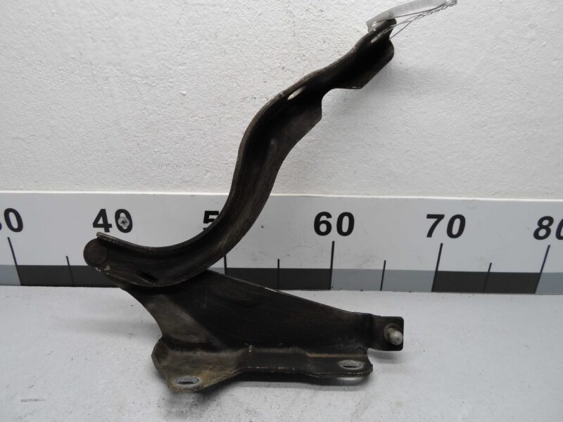 Изображение товара 124236 - 00124236 petlya kapota levaya