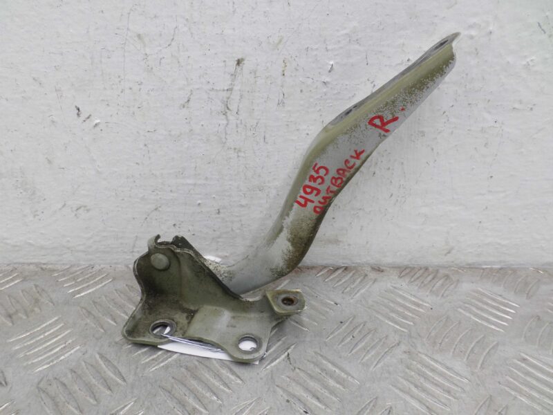 Изображение товара 124821 - 00124821 petlya kapota pravaya