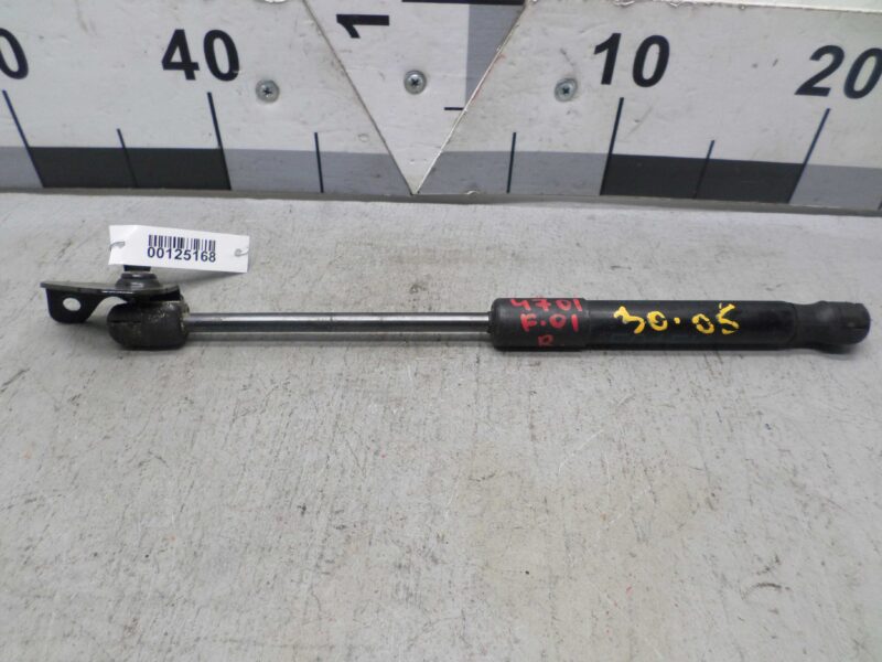 Изображение товара 125168 - 00125168 amortizator kapota