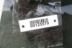 Изображение товара 125579 - 00125579 steklo dveri zadnej pravoj 1