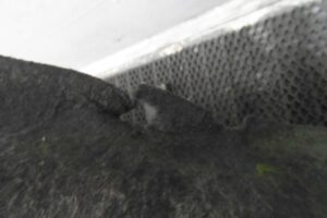 Изображение товара 125936 - 00125936 podkrylok zadnij pravyj 2