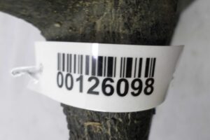 Изображение товара 126098 - 00126098 absorber bampera Pontiac Vibe 1