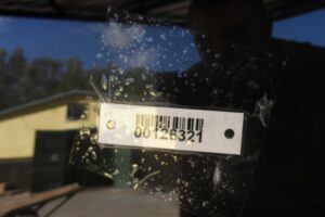 Изображение товара 126321 - 00126321 steklo kuzovnoe pravoe Honda Odyssey 1