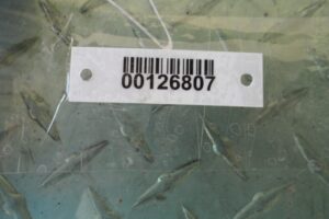 Изображение товара 126807 - 00126807 steklo kuzovnoe levoe 2