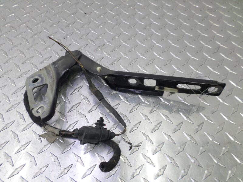 Изображение товара 126915 - 00126915 petlya kapota pravaya