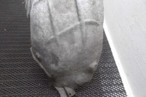 Изображение товара 132603 - 00132603 podkrylok zadnij levyj Lexus LS 3