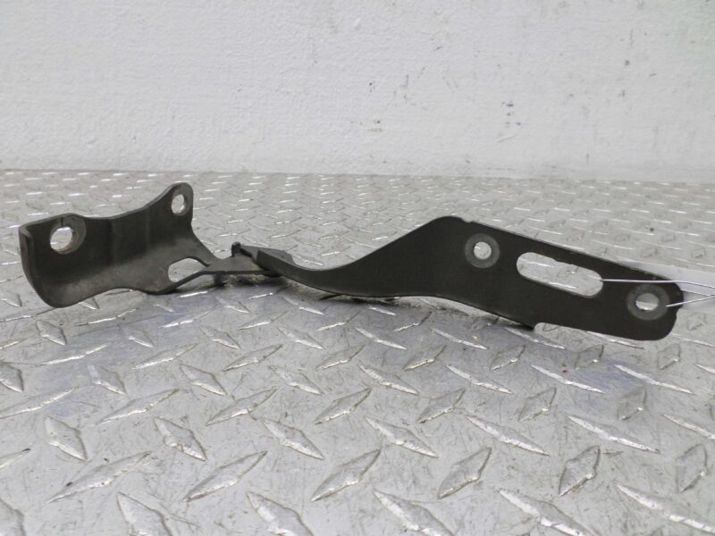 Изображение товара 134012 - 00134012 petlya kapota levaya