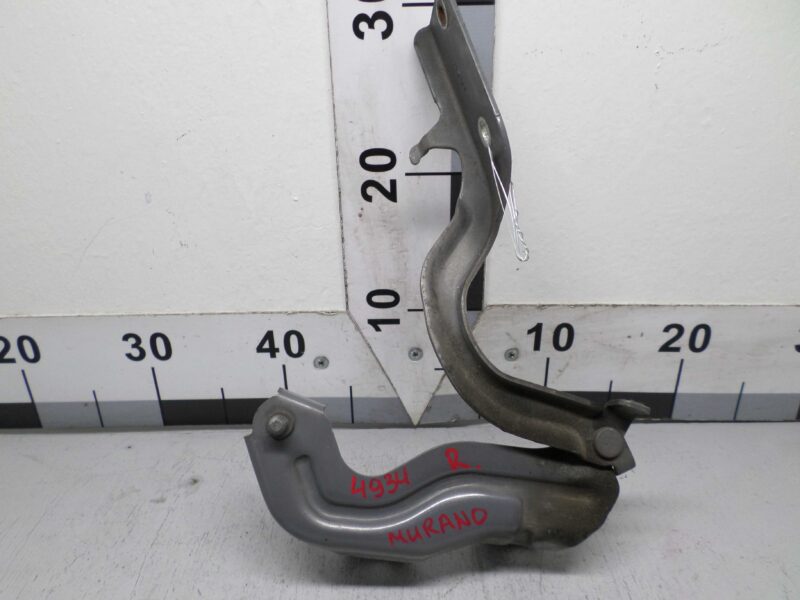 Изображение товара 135903 - 00135903 petlya kapota pravaya Lexus LS