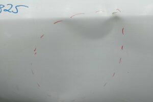 Изображение товара 138847 - 00138847 dver zadnyaya levaya 1