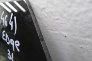 Изображение товара 140272 - 00140272 steklo dveri zadnej levoj Ford F 150 3