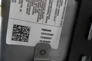 Изображение товара 142259 - 00142259 podushka bezopasnosti passazhira 2