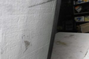 Изображение товара 145314 - 00145314 steklo dveri zadnej levoj 1