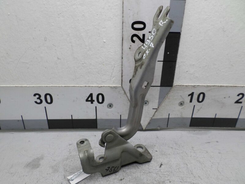 Изображение товара 145531 - 00145531 petlya kryshki bagazhnika Citroen Berlingo