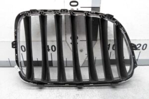 Изображение товара 145993 - 00145993 reshetka kapota 1