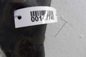 Изображение товара 147745 - 00147745 rychag perednij levyj nizhnij Lexus RX 1