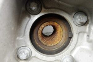 Изображение товара 176224 - 00176224 stupitsa zadnyaya pravaya 2