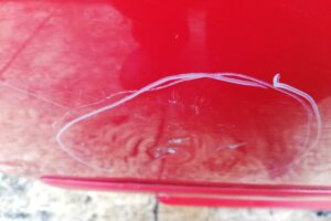 Изображение товара 212498 - 00212498 dver zadnyaya pravaya Volkswagen Touran 2