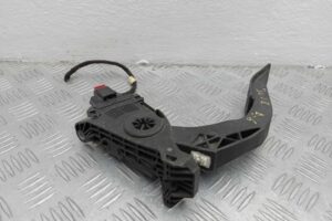 Изображение товара 222049 - 00222049 pedal gaza 1