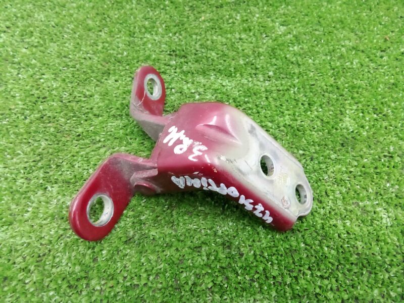 Изображение товара 253706 - 00253706 petlya dveri zadnyaya 20241030171056