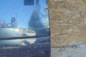 Изображение товара 260207 - 01027249 (3)