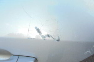 Изображение товара 140w29873 - 04279140 (4)