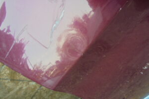 Изображение товара 224w29790 - 07363224 (4)