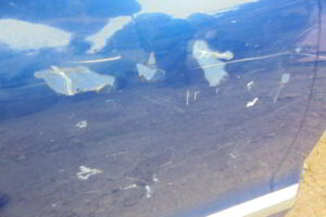 Изображение товара 341w31414 - 0754341 (4)